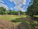 Expansive green pasture with scattered trees, a distant black cow, and a blue, cloudy sky at 8922 Pritcher Rd, Lithia, FL 33547