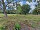 Picturesque land parcel featuring mature trees and natural landscaping elements at 8922 Pritcher Rd, Lithia, FL 33547