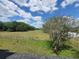 Expansive green pastures surrounded by a wooden fence under a blue sky at 8922 Pritcher Rd, Lithia, FL 33547