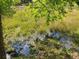 Overgrown yard shows a low-lying, swampy area with lots of grasses and reeds at 8922 Pritcher Rd, Lithia, FL 33547