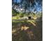 Large backyard with ample space for gardening or entertaining at 37906 Tucker Rd, Zephyrhills, FL 33542