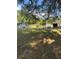 Expansive backyard with a mix of trees and open space provides ample room at 37906 Tucker Rd, Zephyrhills, FL 33542
