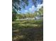 Expansive backyard, perfect for outdoor activities and relaxation at 37906 Tucker Rd, Zephyrhills, FL 33542