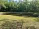 Scenic view of a pond surrounded by lush greenery and open grass at 3232 Lake Pine E Way # G1, Tarpon Springs, FL 34688