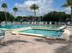 Community pool and hot tub with lounge chairs surrounded by palm trees at 3232 Lake Pine E Way # G1, Tarpon Springs, FL 34688