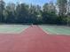 Well-maintained tennis courts featuring a green playing surface and clearly marked lines at 3232 Lake Pine E Way # G1, Tarpon Springs, FL 34688