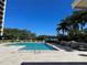 The pool is surrounded by palm trees, with plenty of lounge chairs and greenery, on a sunny day at 3301 Bayshore Blvd # 503, Tampa, FL 33629