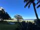 Picturesque view of the bay with swaying palm trees and a glimpse of Monte Carlo Towers at 3301 Bayshore Blvd # 503, Tampa, FL 33629