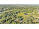 Drone shot of a home and property featuring a pond in a community surrounded by trees and foliage at 4142 El Shaddiai Sq, Plant City, FL 33565