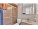 Compact bathroom with a tiled shower, toilet, and vanity with a mirrored medicine cabinet at 4142 El Shaddiai Sq, Plant City, FL 33565
