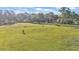 Expansive pasture with grazing animals under a bright blue sky, creating a serene rural scene at 4142 El Shaddiai Sq, Plant City, FL 33565