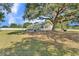 Large, grassy backyard featuring a giant tree and a charming swing hanging from its branches at 4910 Thonotosassa Rd, Plant City, FL 33565