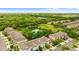 Aerial view of townhomes nestled in a lush, green landscape with a pond at 2125 Wild Grape Pl, Riverview, FL 33578