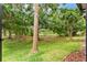 Spacious backyard view with mature trees and the pond in the distance at 2125 Wild Grape Pl, Riverview, FL 33578