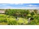 Overhead view of tranquil pond with lily pads surrounded by lush greenery enhancing its appeal at 2125 Wild Grape Pl, Riverview, FL 33578