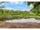 Beautiful pond view framed by lush greenery and a serene sky, adding a natural touch at 2125 Wild Grape Pl, Riverview, FL 33578