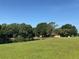 Expansive backyard featuring a picturesque pond and lush greenery at 4101 N Forbes Rd, Plant City, FL 33565