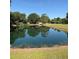 Scenic view of a serene pond reflecting the sky and surrounding trees at 4101 N Forbes Rd, Plant City, FL 33565