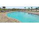 Resort-style community pool with sun loungers, palm trees, and views of a tranquil lake at 8009 Sail Clover Ln, Zephyrhills, FL 33540