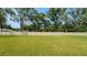 Expansive backyard featuring a large, well-maintained lawn and a tall privacy fence, creating a serene outdoor space at 203 Lovely Ct, Plant City, FL 33566