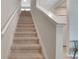 Carpeted stairway with white railings leads to the upper level, providing a safe and elegant transition at 203 Lovely Ct, Plant City, FL 33566