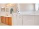 Bright bathroom featuring a walk-in bathtub with safety bar, double sink vanity, and a large mirror at 14385 Saltby Pl, Spring Hill, FL 34609