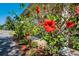 Close-up of vibrant red flowers along the covered porch, adding a splash of color to the exterior at 701 E 60 Hwy, Plant City, FL 33567