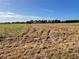 Vast plot of harvested farmland, ideal for planting or agricultural development, set against a clear blue sky at 701 E 60 Hwy, Plant City, FL 33567