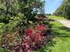 Beautifully landscaped grounds featuring colorful azaleas at 701 E 60 Hwy, Plant City, FL 33567