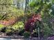 Lush azalea bushes with vibrant blooms enhancing the property's landscape at 701 E 60 Hwy, Plant City, FL 33567