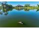 View of a tranquil pond reflecting a home and a pier, with an alligator swimming in the foreground at 701 E 60 Hwy, Plant City, FL 33567