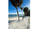 Idyllic beach scene with soft sand, palm trees, and ocean views at 1140 Boca Ciega Isle Dr, St Pete Beach, FL 33706