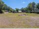 Expansive backyard with metal outbuildings and mature trees at 18818 Dorman Rd, Lithia, FL 33547