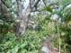 Lush backyard filled with tropical foliage and a large tree at 2415 Goldenrod St, Sarasota, FL 34239