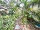 Backyard with foliage, including mature palms, ferns, and other plants at 2415 Goldenrod St, Sarasota, FL 34239