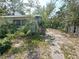 Side exterior of home with a driveway and overgrown landscaping at 2415 Goldenrod St, Sarasota, FL 34239
