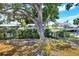 A large tree with a swing highlights this backyard's view of the waterfront and private dock at 4116 4Th Ne Ave, Bradenton, FL 34208