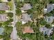 Aerial view of the neighborhood showing homes with pools and tree-lined streets at 6007 Hammock Hill Ave, Lithia, FL 33547