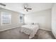 Neutral bedroom with plush carpet, a ceiling fan, and two bright windows at 3425 San Moise Pl, Plant City, FL 33567
