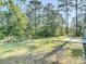 Expansive backyard with a lush green lawn and views of tall trees on a sunny day at 12053 Centralia Rd, Weeki Wachee, FL 34614