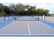 Outdoor pickleball courts with blue and gray surface, nets, and a black fence creating a fun recreational space at 2512 58Th E Cir, Palmetto, FL 34221