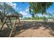 A relaxing swing under the shade trees in a spacious backyard at 4020 Mcintosh Rd, Dover, FL 33527