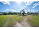 Lush green lot with a small pond, mature trees and a dirt path, creating a peaceful and inviting space at 4020 Mcintosh Rd, Dover, FL 33527