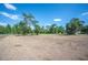 Expansive, grassy lot with scattered mature trees and a clear blue sky, offering ample space and natural beauty at 4020 Mcintosh Rd, Dover, FL 33527