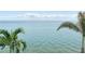 Gorgeous water view showcases tranquil scenery, creating a peaceful and serene atmosphere with palms on either side at 4778 Coquina Key Se Dr # 4778, St Petersburg, FL 33705