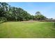 Spacious, green backyard with mature trees, perfect for outdoor activities and relaxation at 6433 Mangrove Dr, Wesley Chapel, FL 33544