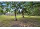 Lush green backyard with mature trees and a well-maintained lawn providing a serene outdoor space at 6433 Mangrove Dr, Wesley Chapel, FL 33544
