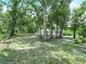 Secluded backyard with mature trees providing privacy and shade near the home at 3205 N 66Th St, Tampa, FL 33619