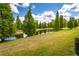 Picturesque pond surrounded by lush green trees and grass, creating a peaceful setting at 10642 Lake Montauk Dr, Riverview, FL 33578