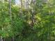 Lots of natural growth surrounds this property at 15354 Sweet Springs Bnd, Odessa, FL 33556
